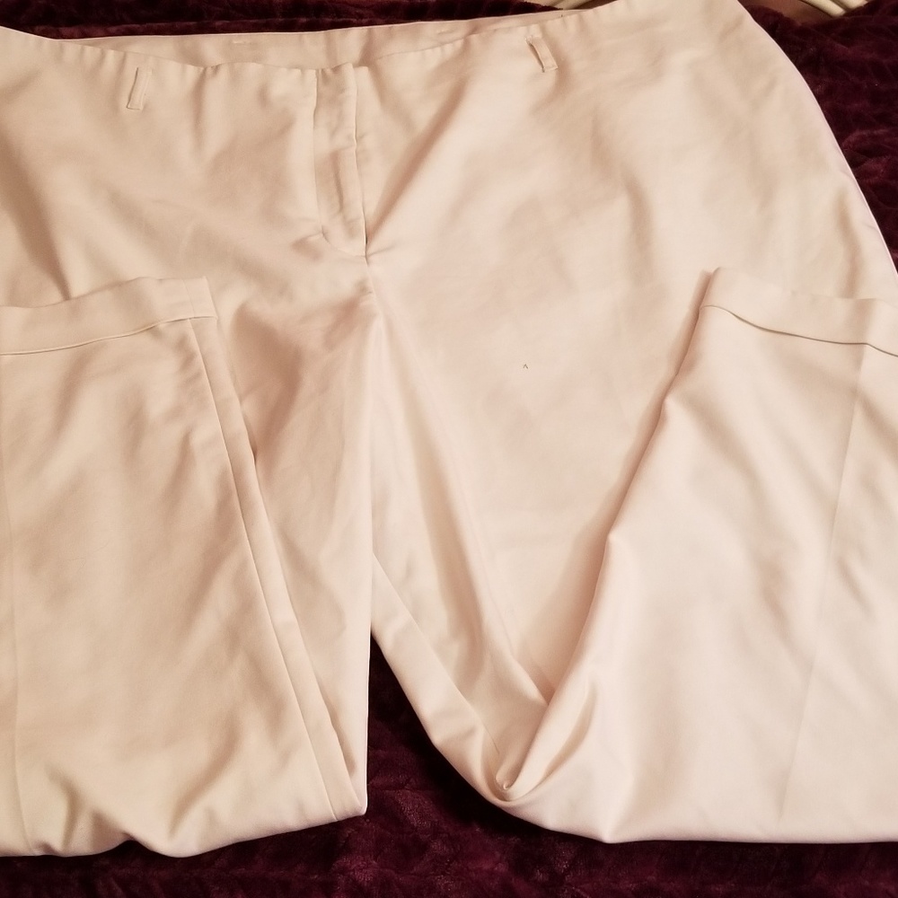 Dress Pants